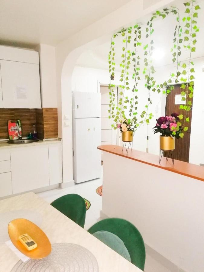 Apartament Near The Park Two Rooms Bukarest Exteriör bild